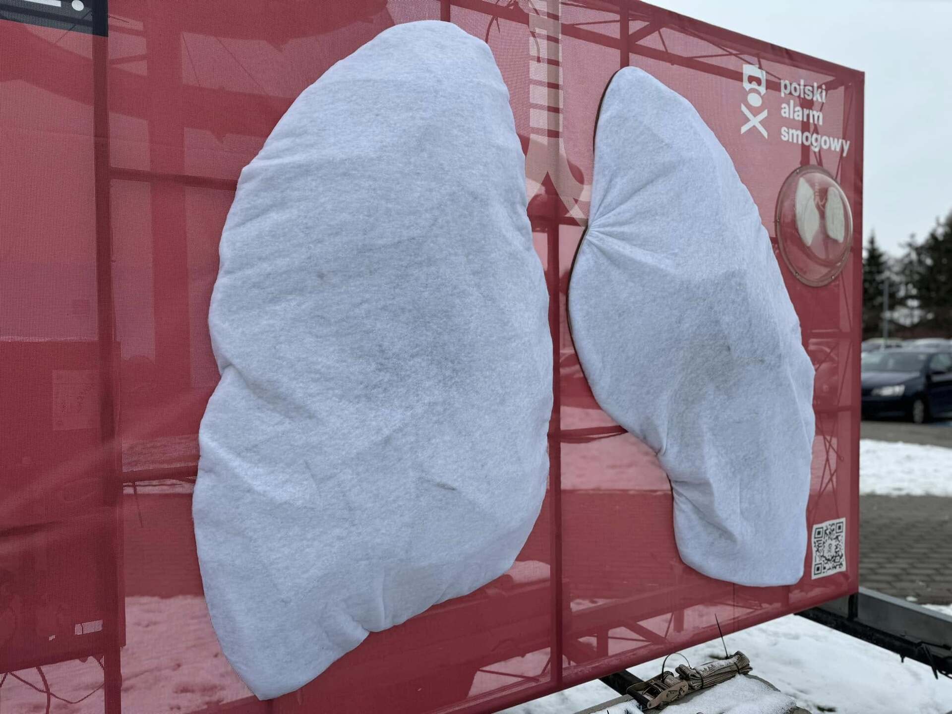 Smogowe płuca Walka o czyste powietrze w Łomiankach